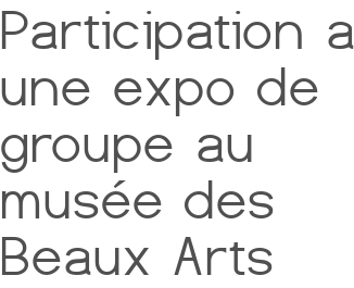 Participation a une expo de groupe au musée des Beaux Arts